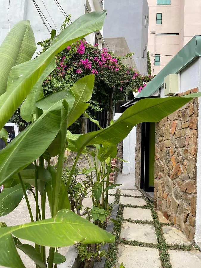 Guest house Yen Homestay Da Nang Vietnam